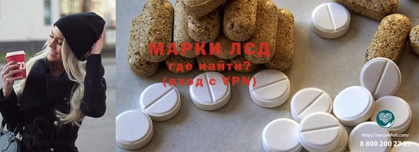 винт Лагань