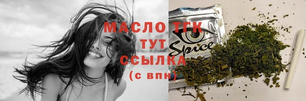 винт Лагань