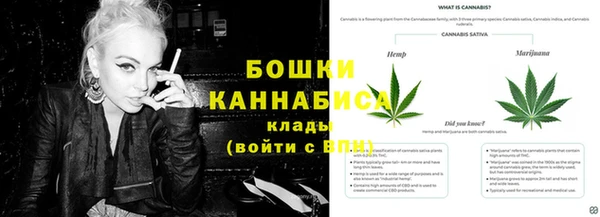 бошки Лабытнанги