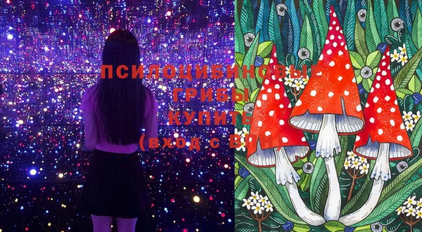 бошки Лабытнанги
