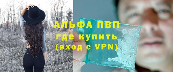винт Лагань