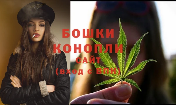 винт Лагань